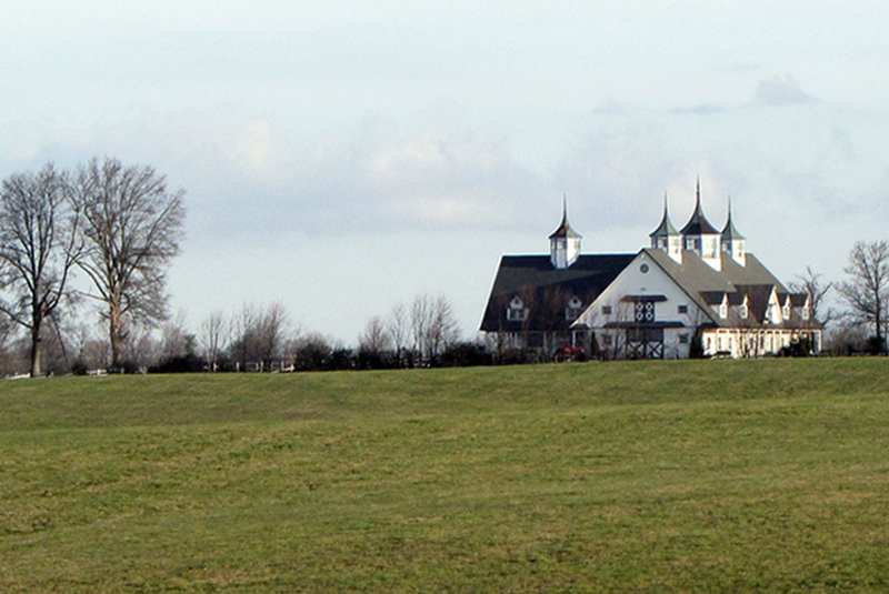 A large field with some houses in the background